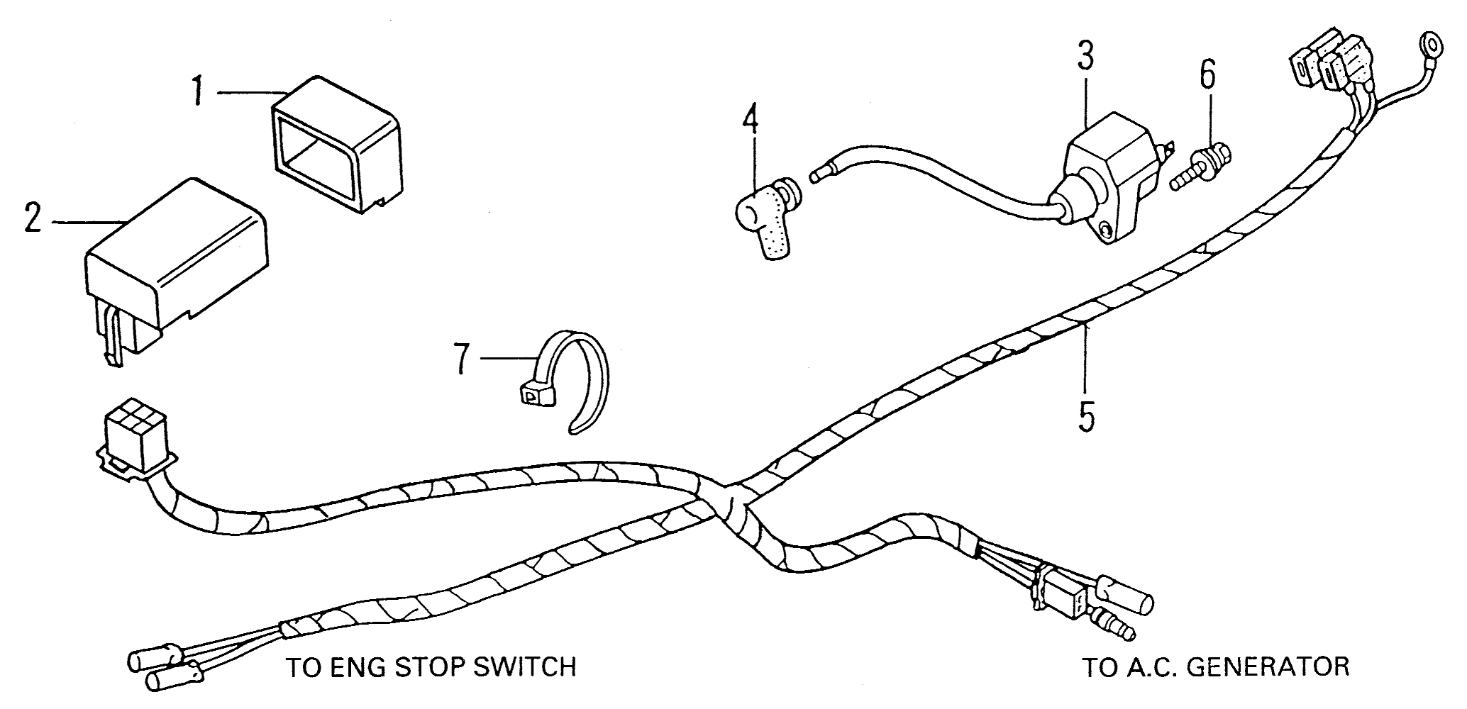 1997 Honda NS50R - F20 Wire Harness / Ignition Coil