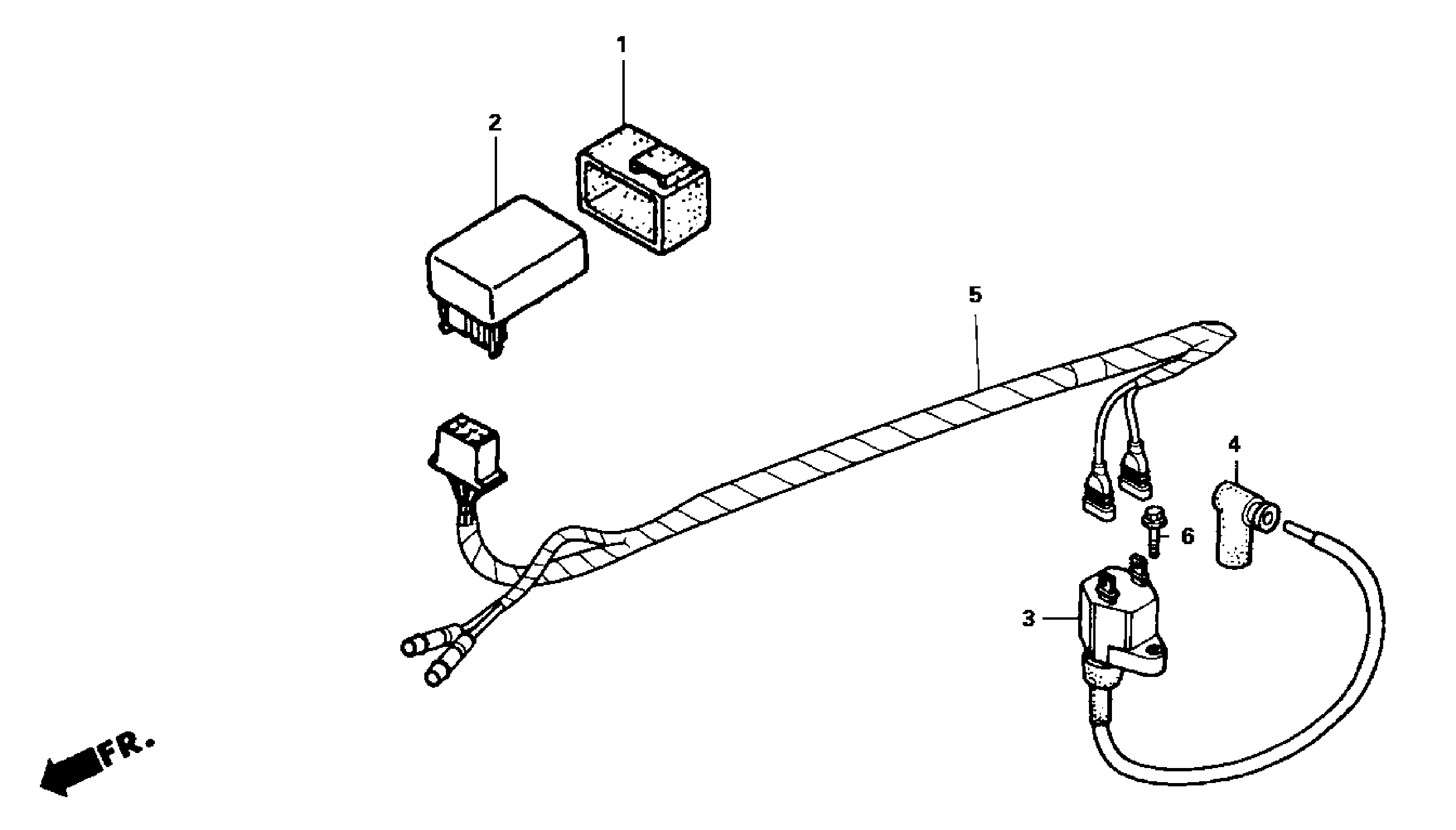 2004 Honda NSR50 - F20 Wire Harness