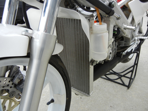 1994-RS125-NF4 NEW 1994 Honda RS125 (NF4)