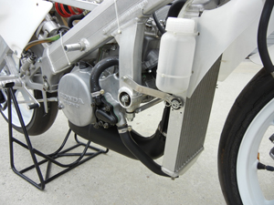 1994-RS125-NF4 NEW 1994 Honda RS125 (NF4)