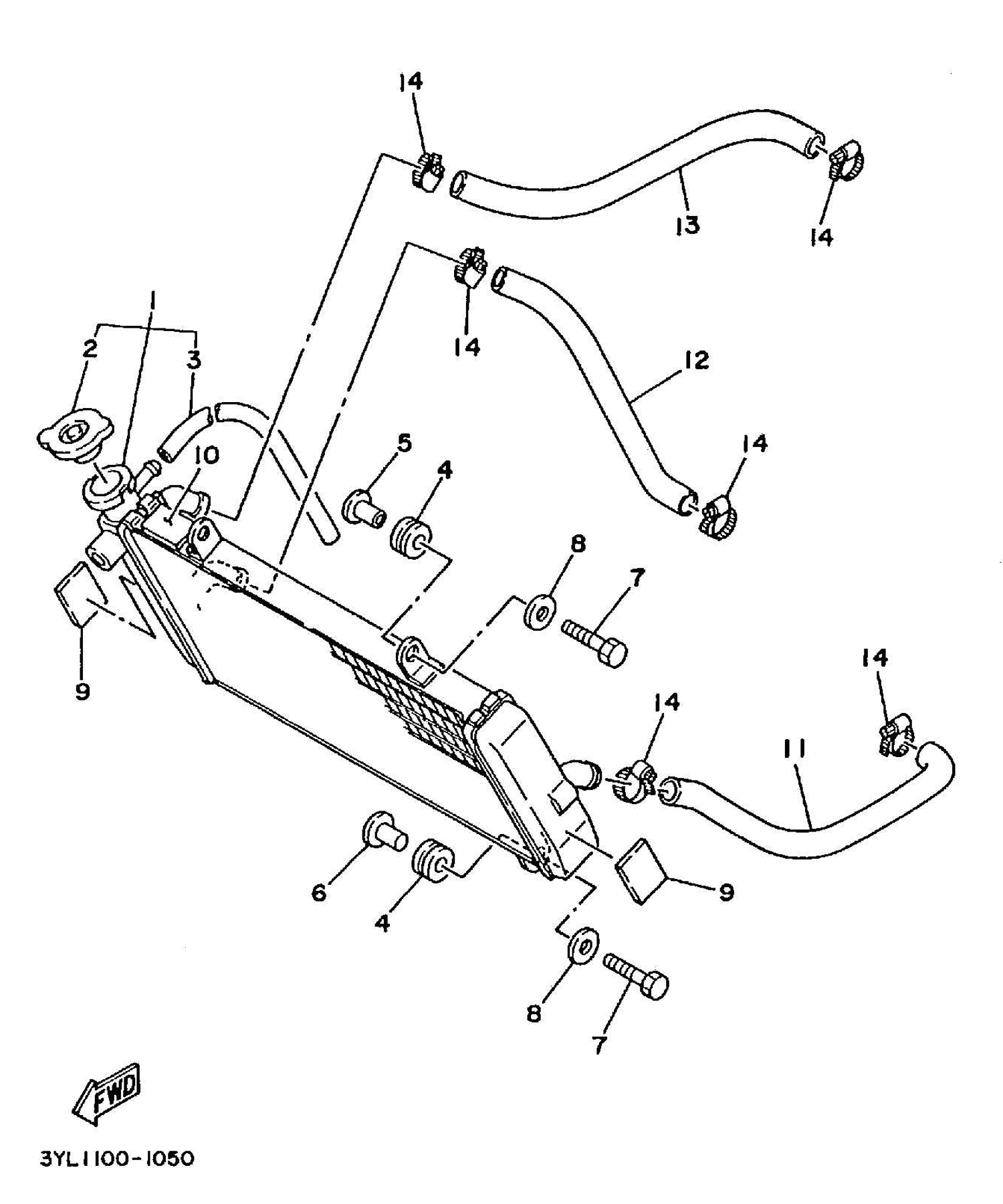 Technical Sports One, LLC 1991 Yamaha TZ250 (3YL1) the Radiator / Radiator Hose