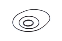 SK33168BB SEAL KIT, VHM CYLINDER HEAD HONDA NSR50 (BIG BORE)